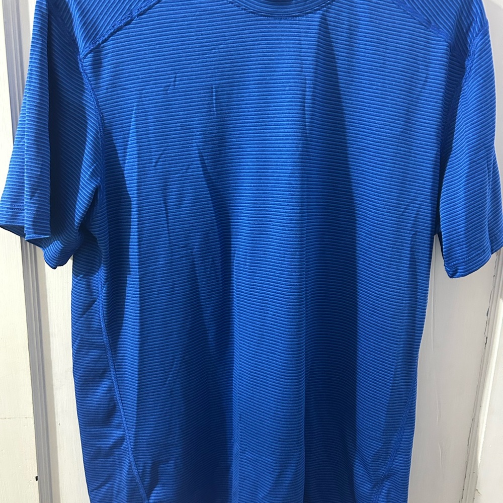 Russell Athletic Men's Blue Striped Tee